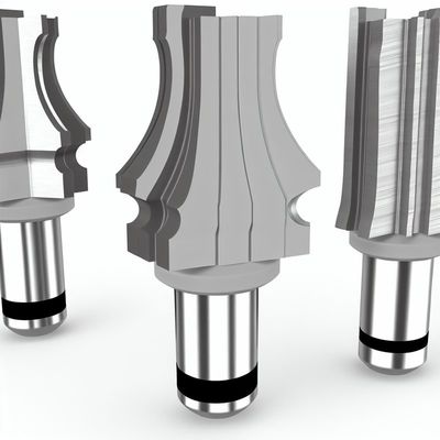 Dekorative Trim-Formen Router Bits 2 Flöte kundenspezifische OBM Unterstützung