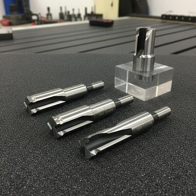 1/4 Inch Shank 2 Flutes Moulding Router Bits with OEM Customization for CNC Machines